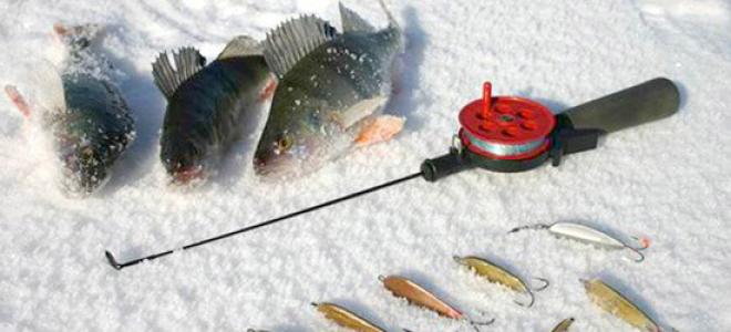 DIY winter baits: production and materials Homemade device for winter fishing for perch